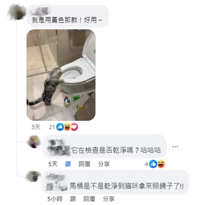 網友笑稱馬桶是否乾淨到貓咪拿來照鏡子。擷取自FB全聯消費經驗老實說