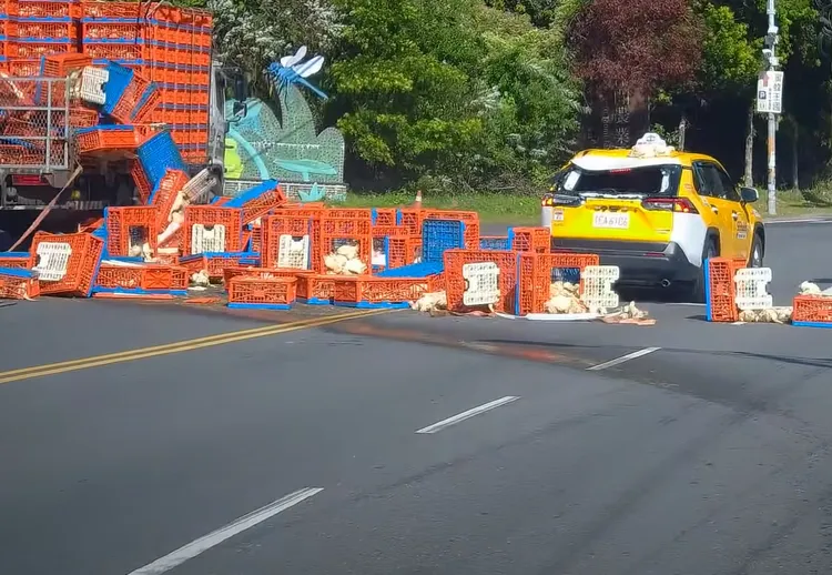 雞籠散落一地，部分雞隻則摔出籠子。翻攝「WoWtchout - 地圖型行車影像分享平台」