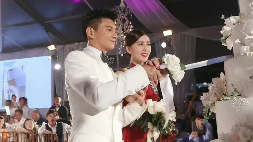吴奇隆变「前老公」?和刘诗诗合伙公司注销 婚姻现况冒疑点