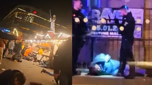 德國耶誕市集汽車衝撞　嫌犯起底！移民反對移民政策支持極右派政黨