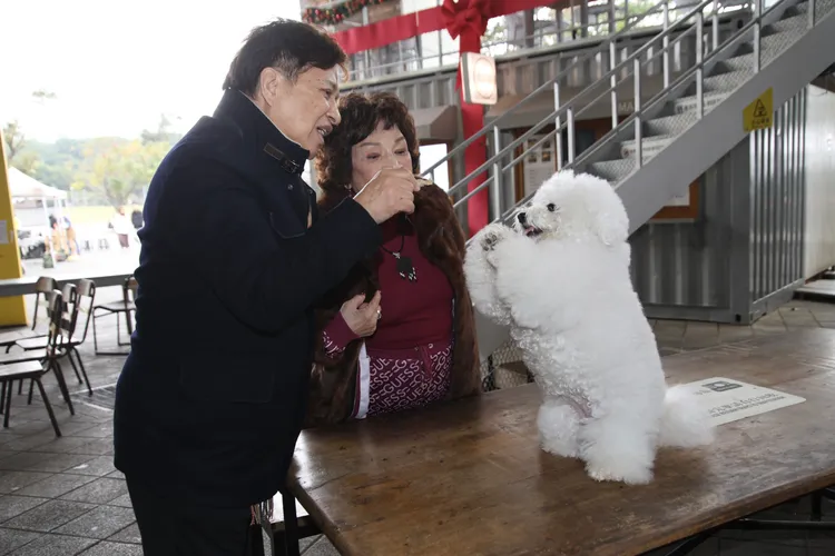 阿姑和李朝永的愛犬「甜甜」表演謝謝。彭欣偉攝