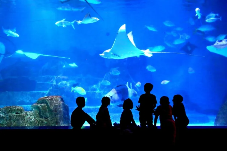 國旅春節親子團，春節期間自小年夜到初一天天出發。雄獅旅遊提供