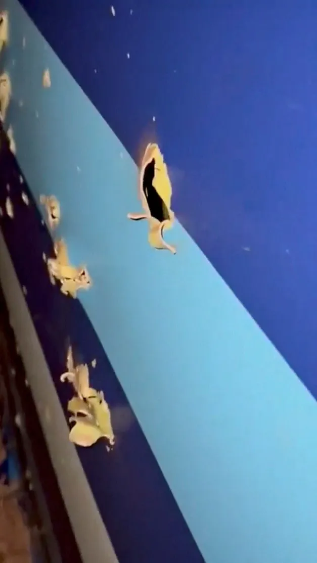 機身上有不少大小孔洞。路透