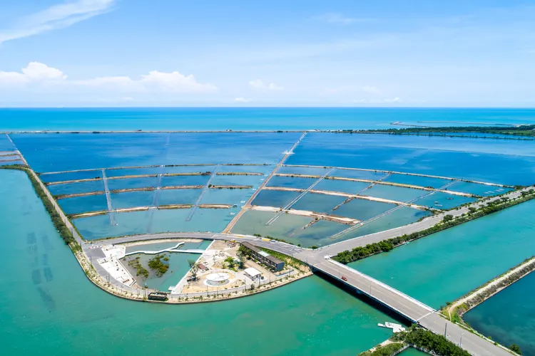 台灣觀光100亮點之一扇形鹽田。觀光署提供