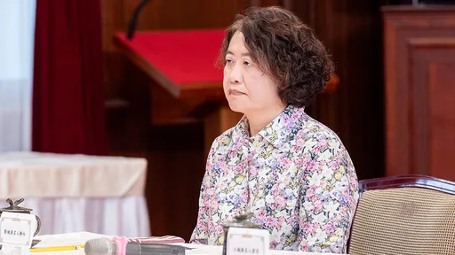 綠封殺劉靜怡原因太扯　律師：這國家容不下講真話真悲哀