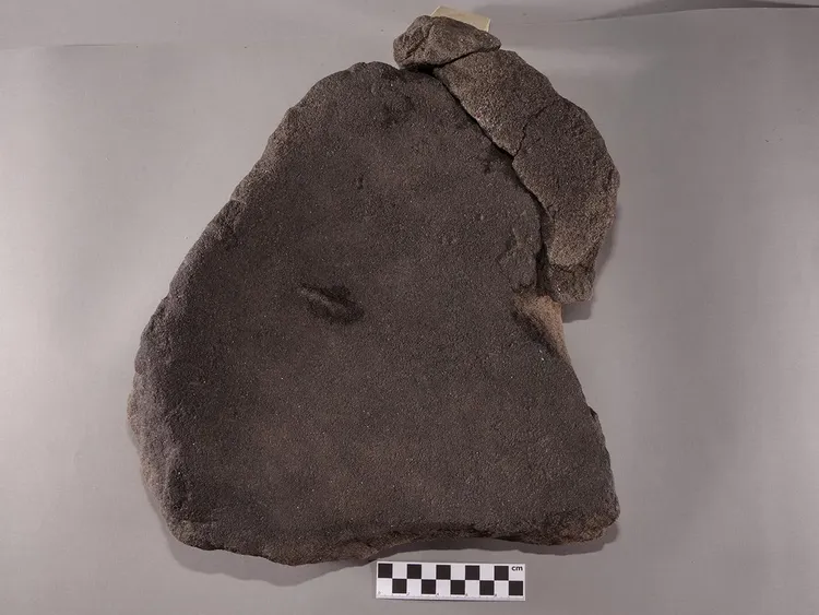 磨穀物的磨石另一面。archaeologymag