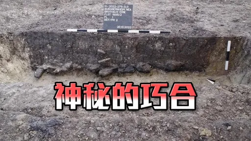 麵包店擴建挖到2800年前遺跡 好巧!也是一間烘焙坊