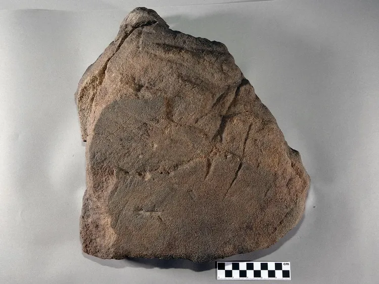 磨穀物的磨石。archaeologymag