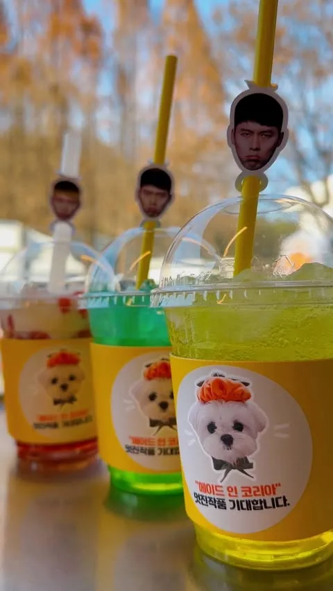 孫藝真選用狗女兒Kitty的美照當貼紙。翻攝yoontruck IG