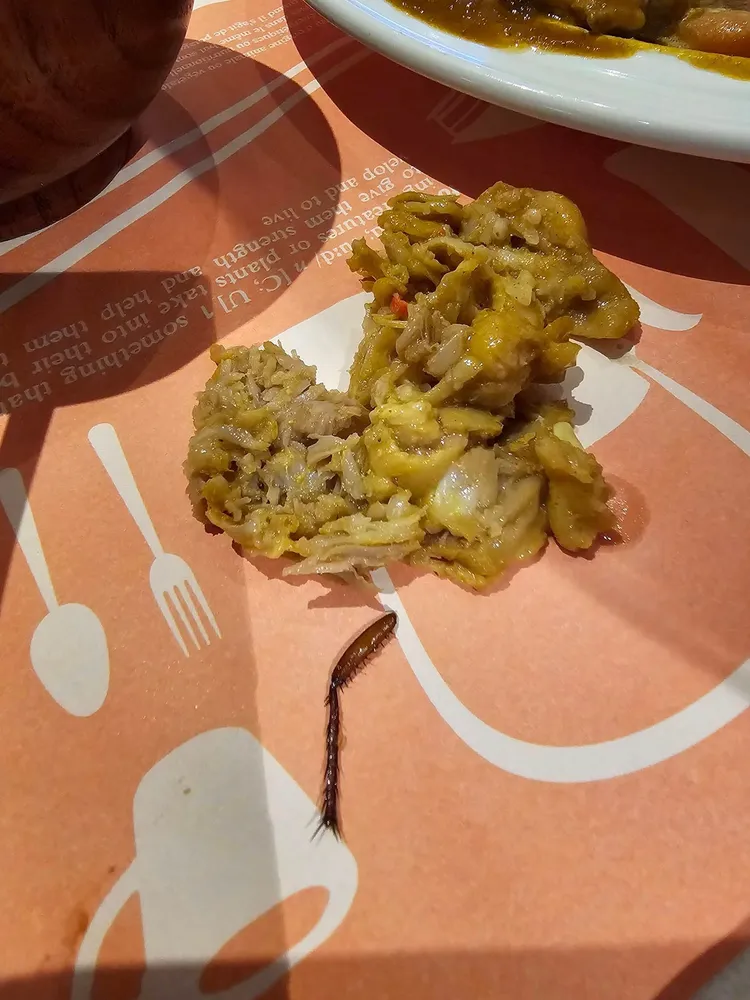 網友點咖哩飯疑似吃到蟑螂腿。翻攝爆料公社