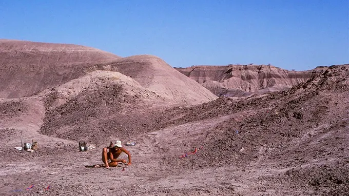 古人類學家喬漢森1974年時在衣索比亞的哈達爾地區考古。翻攝自Science News Explore