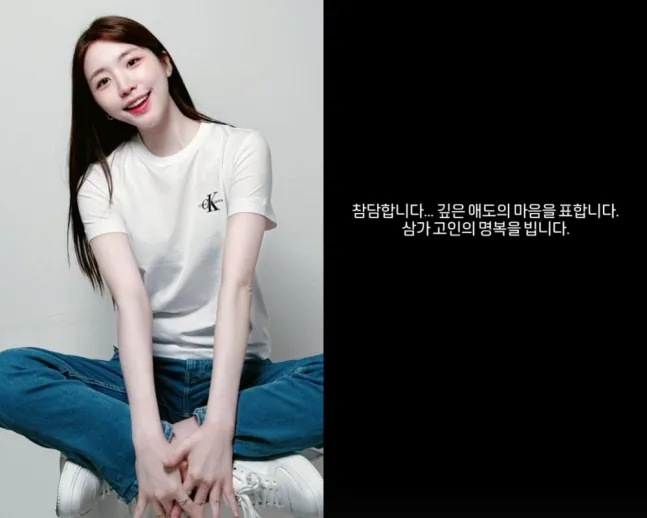 成海恩曾是大韓航空空姐。翻攝成海恩IG
