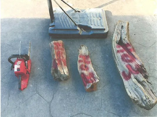 嫌犯將盜伐的林木，賣給不肖商人提煉精油。民眾提供