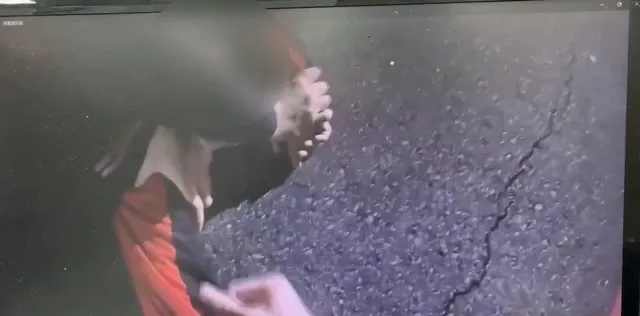 黃男被警方壓制逮捕。民眾提供