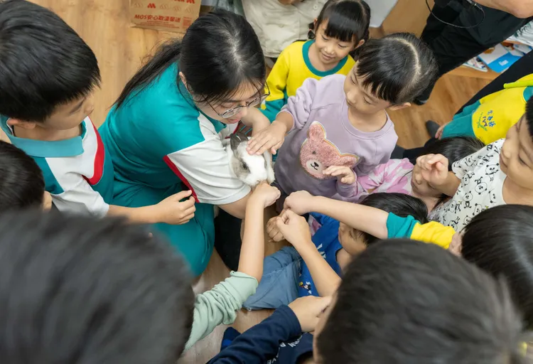 幼兒園老師沈怡君帶著她五年前接手救回的兔子「白鬍子教官」到學校當「助教」，教孩子尊重包容不同生命。翻攝畫面
