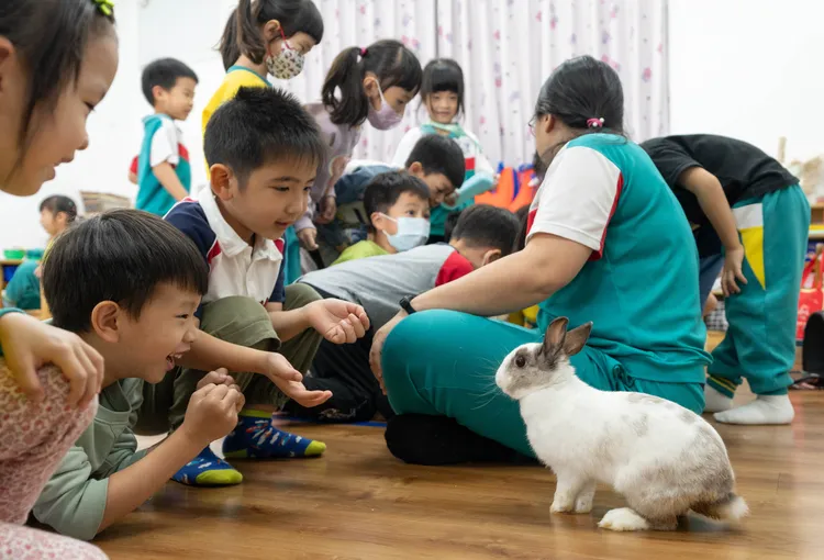 幼兒園老師沈怡君帶著她五年前接手救回的兔子「白鬍子教官」到學校當「助教」，教孩子尊重包容不同生命。翻攝畫面