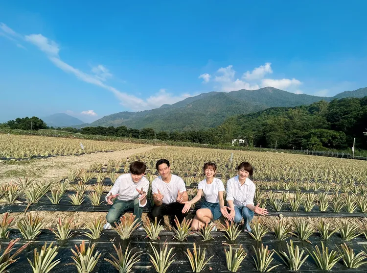 安偉（左起）、周孝安、晴雯與郁方，公益不落人後，在善導書院栽種的鳳梨園合影。星之國際提供