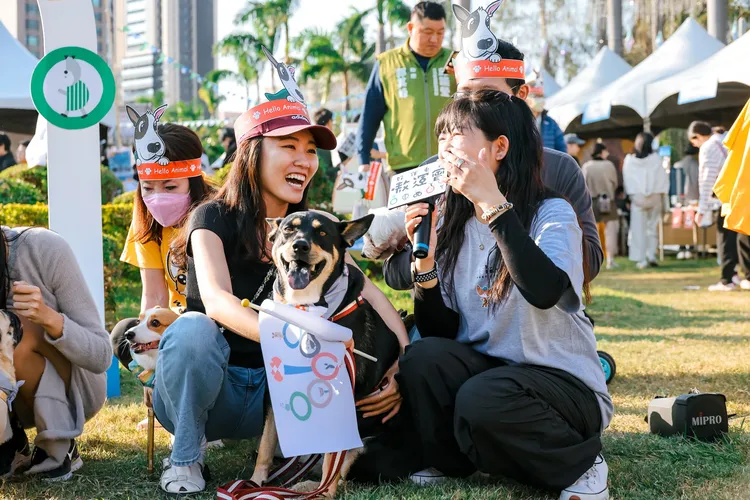 飼主們開心互動。翻攝畫面