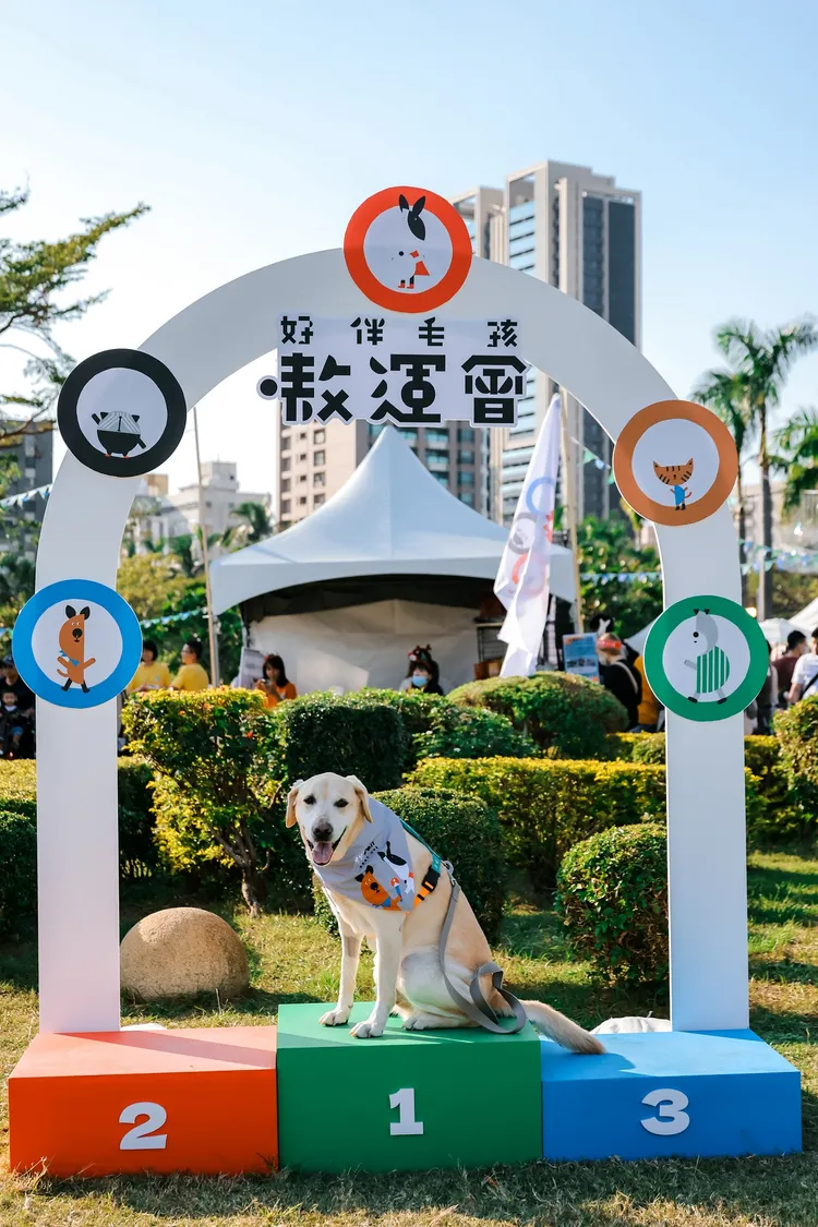 獲獎選手。翻攝畫面