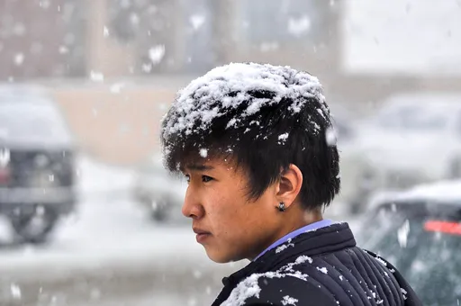 3生肖有喜 大雪節氣他們大賺