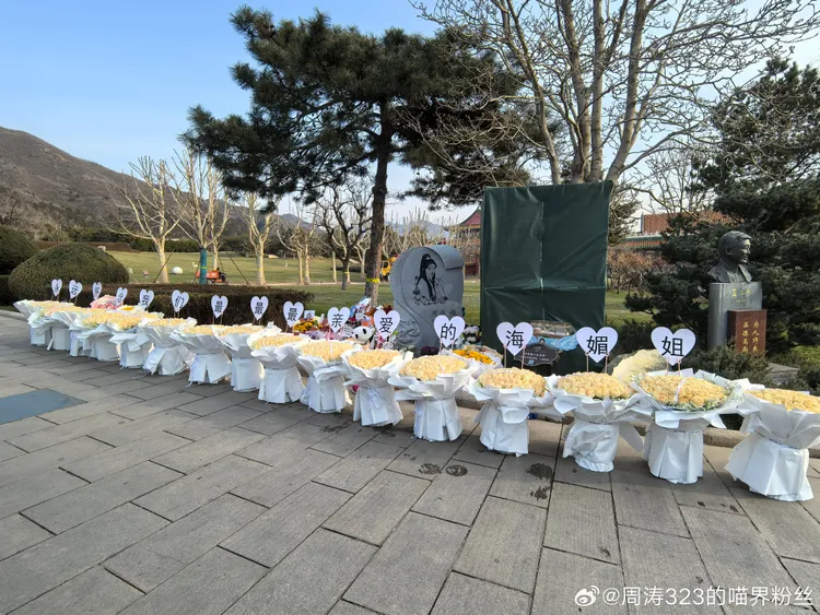 周海媚粉絲獻花致意。翻攝周濤323的喵界粉絲微博