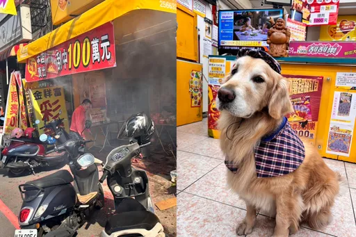 汪星人助攻!台中男買彩券邊刮邊摸店犬 幸運刮中100萬