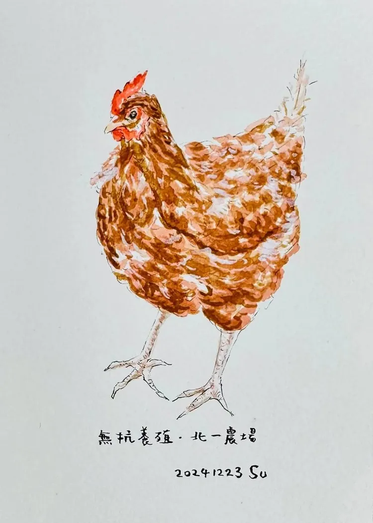 蘇俊賓畫下紅羽蛋在臉書分享。翻攝蘇俊賓臉書