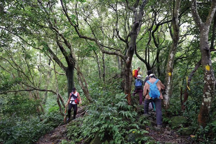 石門山步道。觀旅局提供