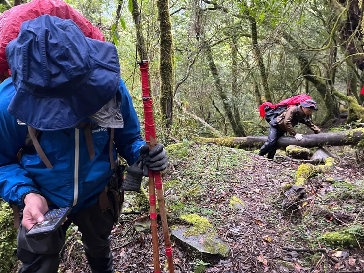 歷經4天艱辛搜救任務終於找到待援的女登山客。台東縣消防局提供