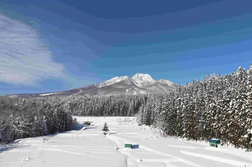 寶藏滑雪秘境大公開!Booking.com推薦這5個日本冰雪天堂滑雪目的地