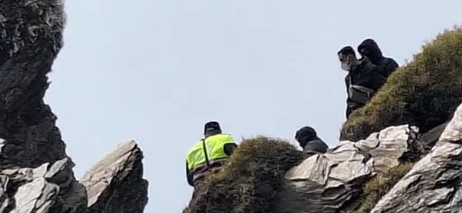 4生肖蛇年最容易發生意外 屬兔戶外活動注意受傷