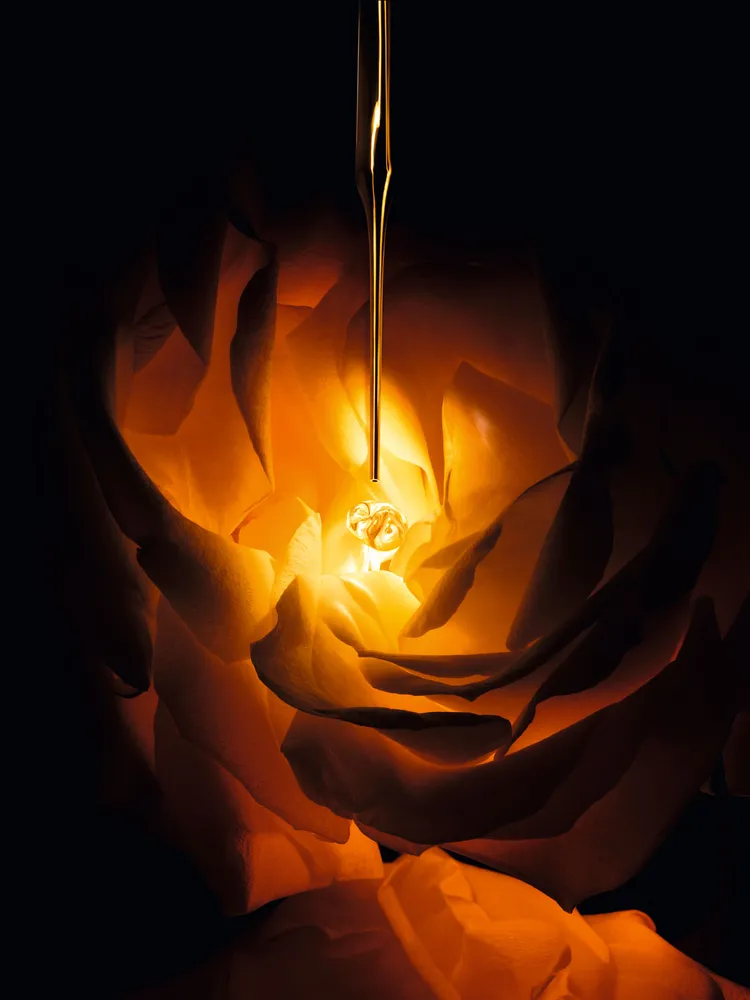 岡維拉玫瑰仿生玫瑰外泌體。品牌提供