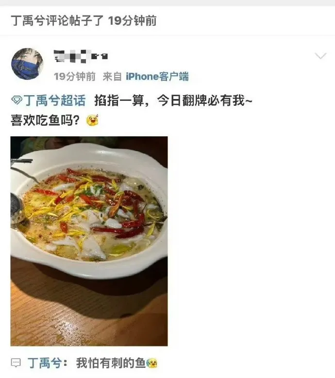 丁禹兮隨口回答被罵爆。翻攝微博