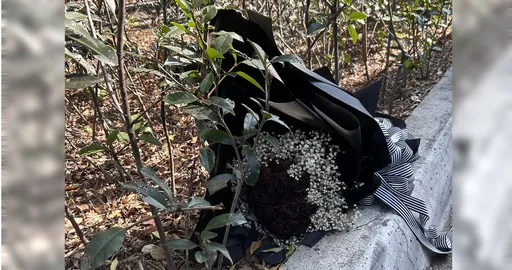 一整束黑玫瑰被丟在公園　網友：又是一段心酸的故事