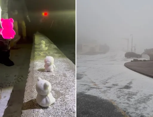 合欢山凌晨下冰霰成银白世界 追雪再等等!游客兴奋堆「小冰人」