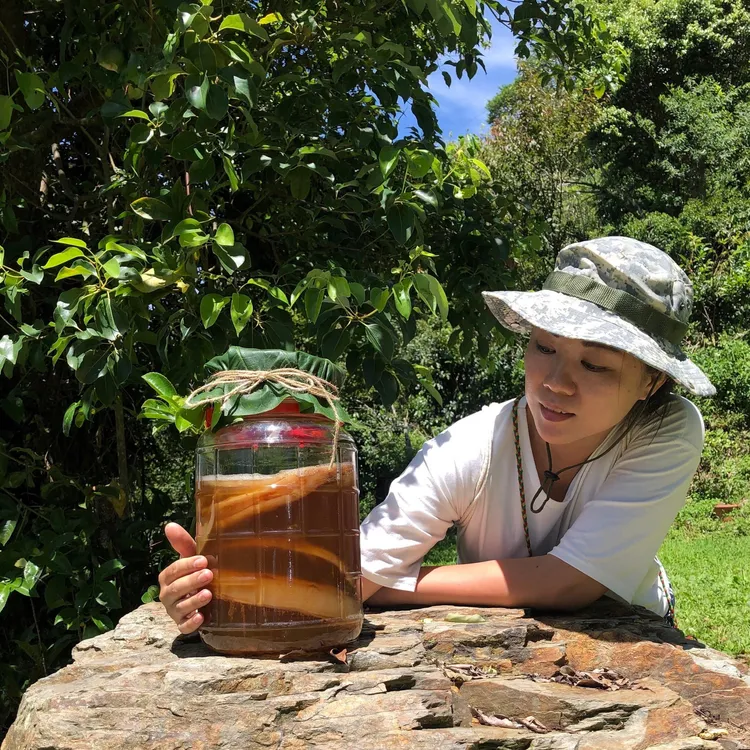 杜寶珍傳承父母自然農法山茶種植並創辦「珍康普茶」。農業局提供
