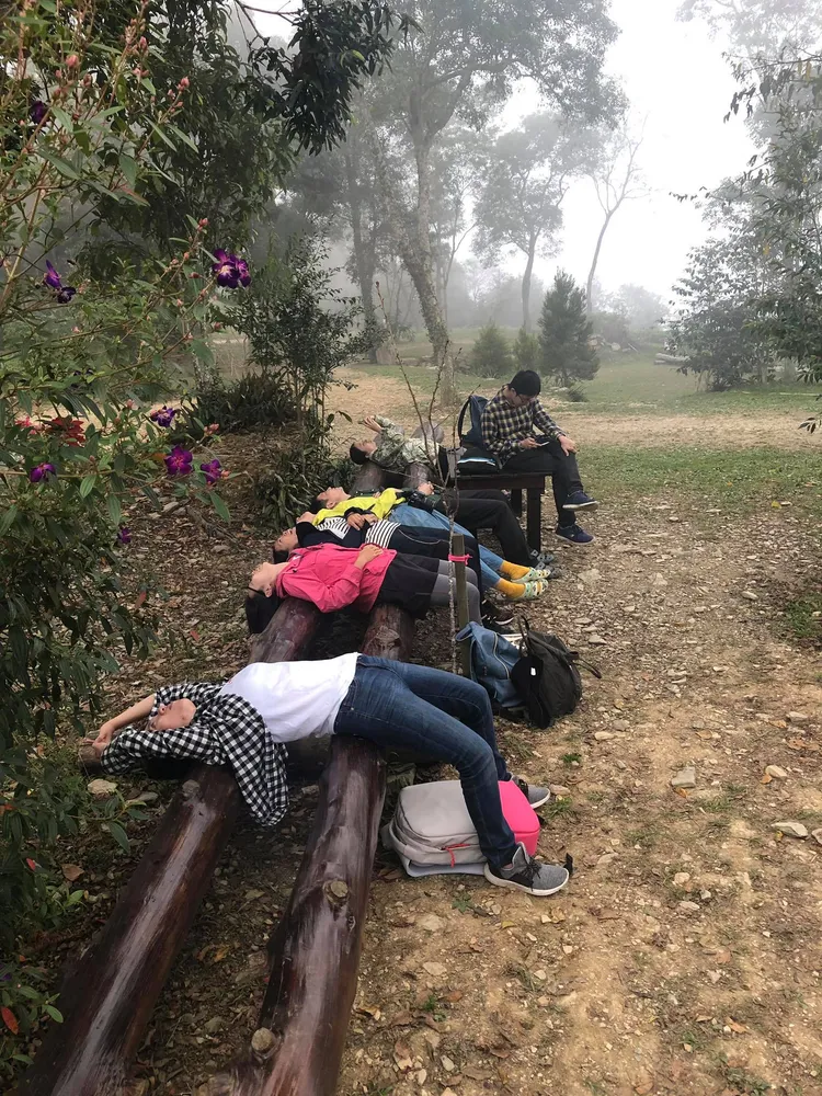 遊客在寶山部落茶園裡放鬆。杜寶珍提供