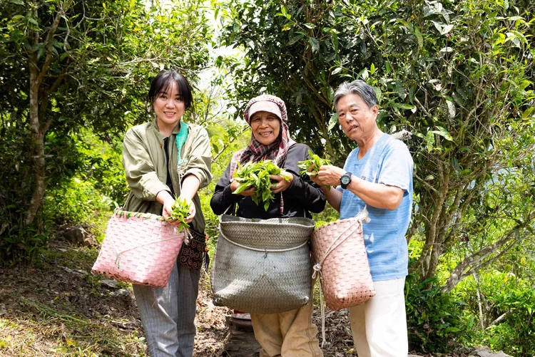 臺灣原生山茶已成為寶山農業新亮點。圖為杜寶珍與爸媽。杜寶珍提供