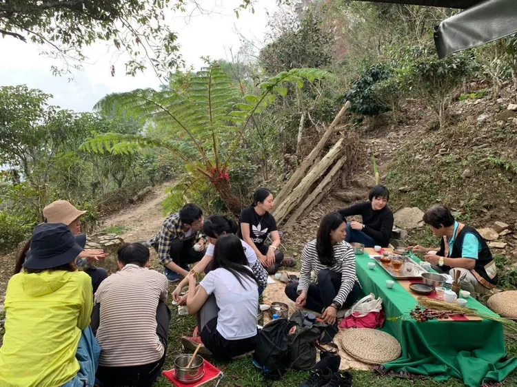 杜寶珍努力找出屬於原住民的山茶文化。杜寶珍提供