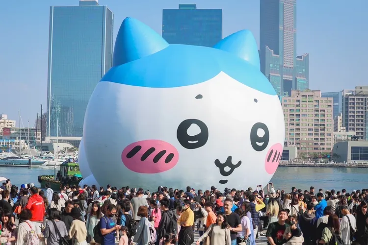 小八貓在靠近高雄流行音樂中心音浪塔前海面。觀光局提供