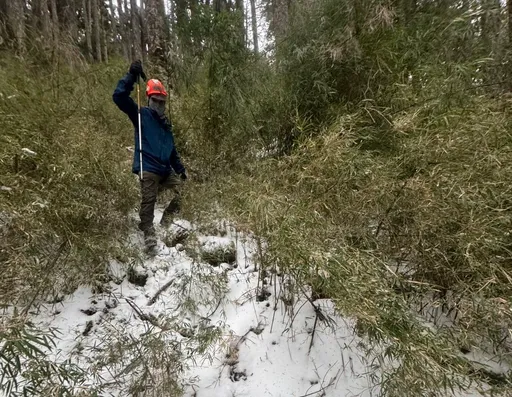 女登山客攀大壩尖山失聯3天　背包尋獲但未見人影