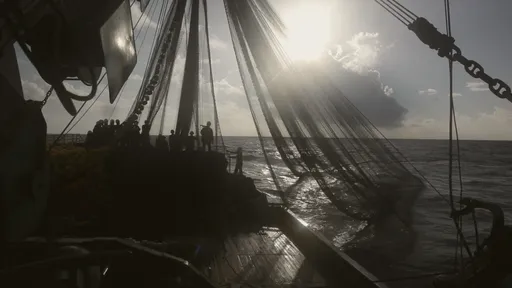 遭立委王鴻薇控投標作弊、劇本抄襲 阿美族資深導演怒發聲明