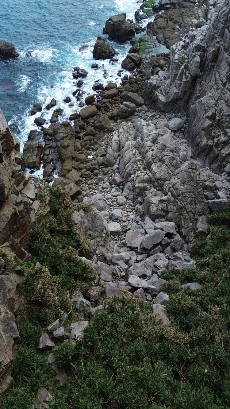 本月18日有民眾在龍洞攀岩場附近的小徑中找到一具白骨。翻攝照片