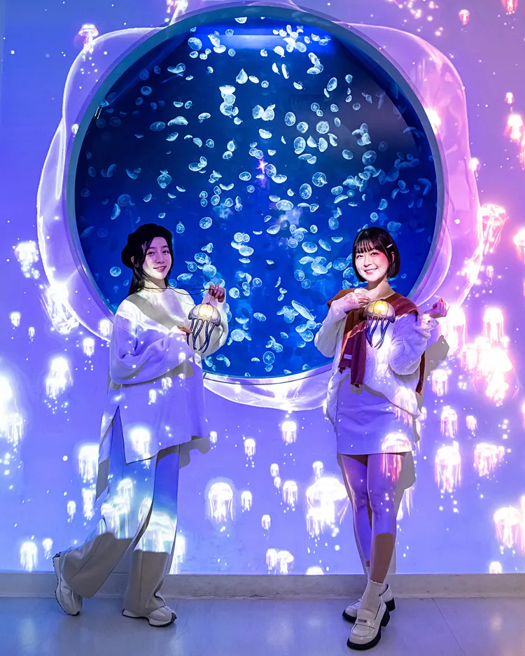 人氣指標Xpark Blue「水鏡幻宙—水母之舞」。業者提供