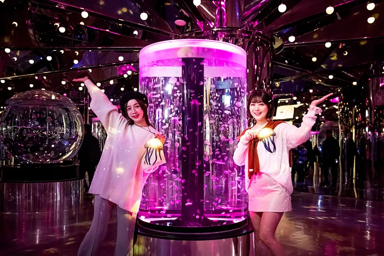 沉浸式體驗，水母萬花筒「萬華鏡之海—幻舞四季」。業者提供