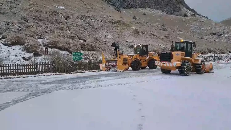 公路局出動鏟雪車清除道路積雪。林業署南投分署提供