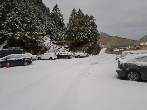 合歡山雪霰飄整夜!積雪已達3.5公分 一片銀白世界