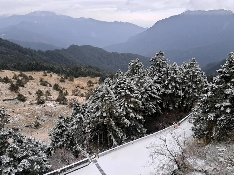 合歡山道路積雪、結冰，限加掛雪鏈車輛通行。林業署南投分署提供