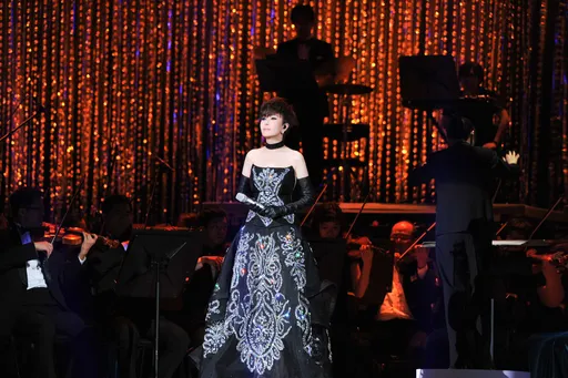 考驗新年運!江蕙北高巨蛋20場實名制+兩階段抽籤掰了黃牛