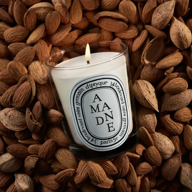 Diptyque Amande杏仁香氛蠟燭，190g／2300元。品牌提供